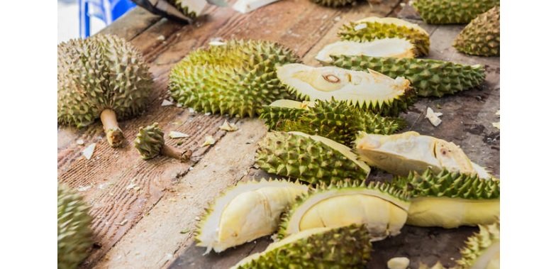 Premium Quality Durian for Global Market