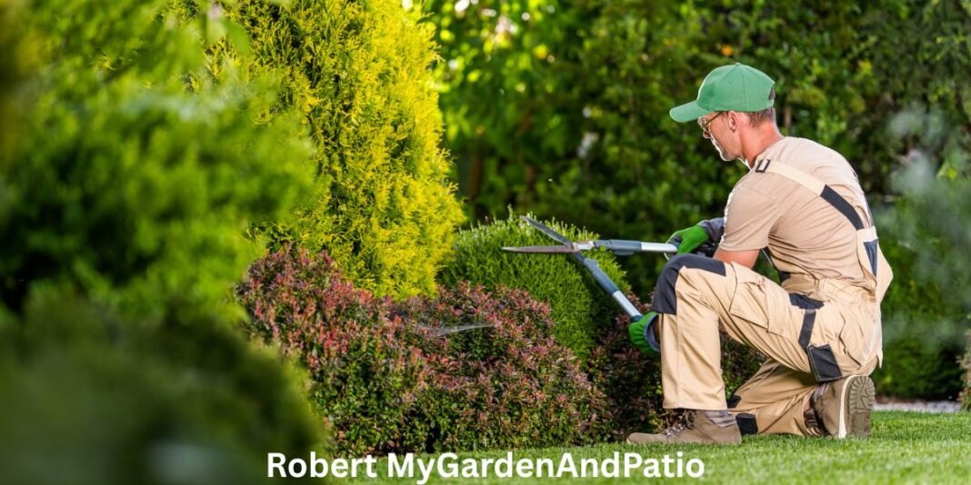 Robert MyGardenAndPatio: Gardening and Outdoor Living Redefined